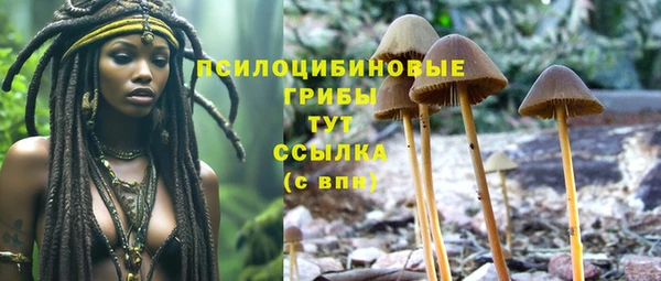 кокс Алексеевка