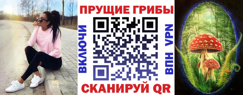 Псилоцибиновые грибы ЛСД  blacksprut вход  Алексеевка 